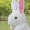 Hand Puppet, Plush Doll, Hand Puppet, Animal, Plush Toy, Hand Dancing, Animal Finger Puppet, Ventriloquism, Kids Prop (Rabbit)