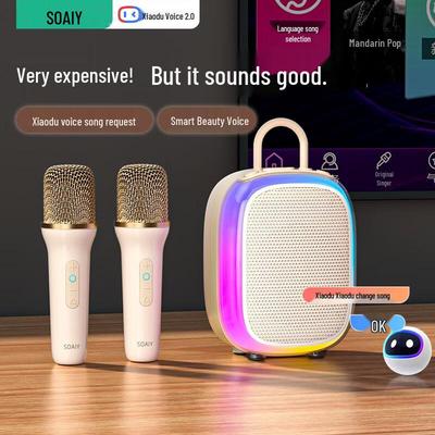 Soaiy SK68 Portable Wireless KTV Speaker & Dual Microphones with AI Voice Assistant CN Plug (adapter Included)