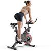 iSCOOTER QK101 Home Fitness Bike For Unisex With Transmission System LCD Display And 5-Level Adjustable Indoor Bicycle