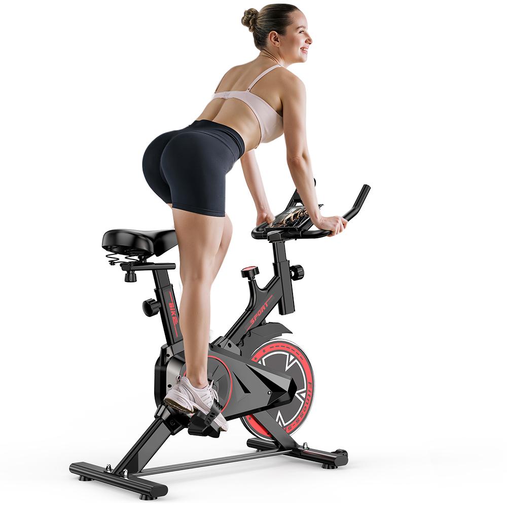 iSCOOTER QK101 Home Fitness Bike For Unisex With Transmission System LCD Display And 5-Level Adjustable Indoor Bicycle