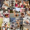 Dog Clothes Winter Pet Dog Knitted Sweater Cherry Print Soft Fashion Coverall for Dog Chihuahua Clothing Warm Dog Cardigan Coat