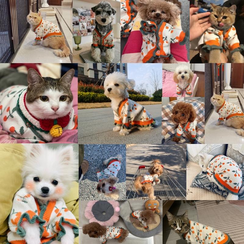 Dog Clothes Winter Pet Dog Knitted Sweater Cherry Print Soft Fashion Coverall for Dog Chihuahua Clothing Warm Dog Cardigan Coat