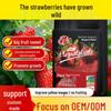 Strawberry Growth & Fruiting Liquid Fertilizer for Potted Plants