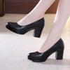 6cm Small Size 32-43 Shallow Formal Dress Shoes Women Pumps 2025 Black Med Block Heels Shoes Platform for Office Court Work Mom