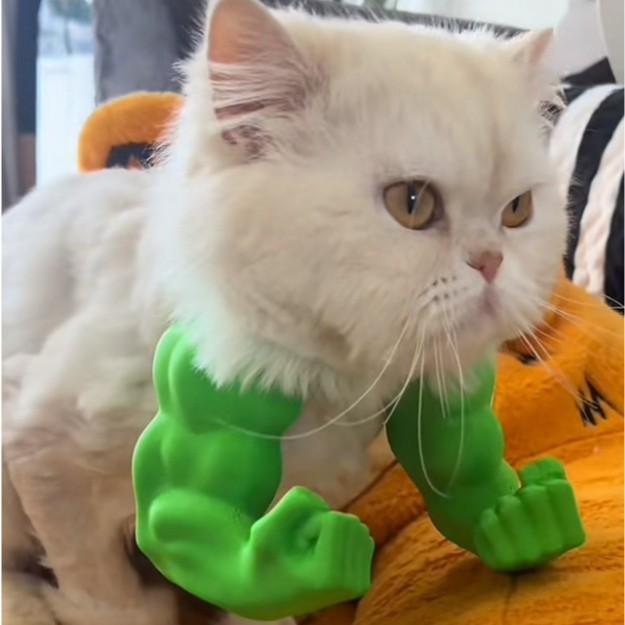 Hulk Cat Muscle Arm Middle Finger Decoration