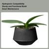 Горщики для орхідей Контейнер для орхідей Дихаючий Двошаровий Контроль коренів Система поливу Для квітучої квітки Живі рослини Кімнатні