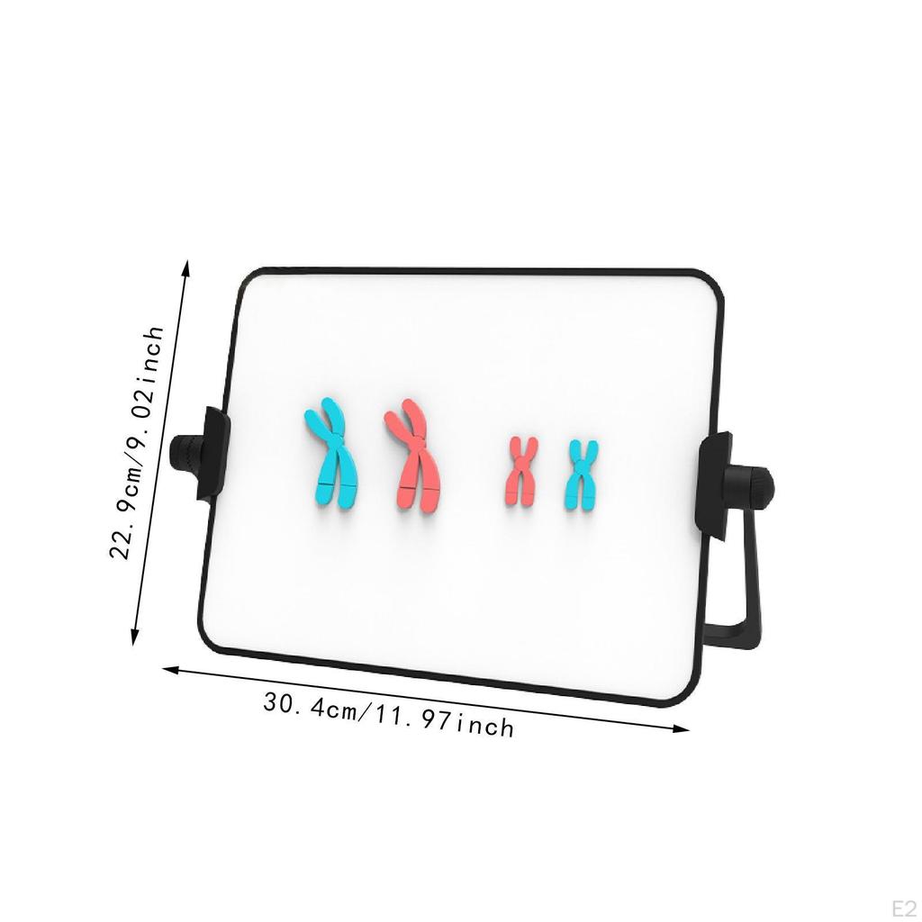 Chromosome Model Kit Educational Learning Tool Reusable Demonstration Instrument Easy to