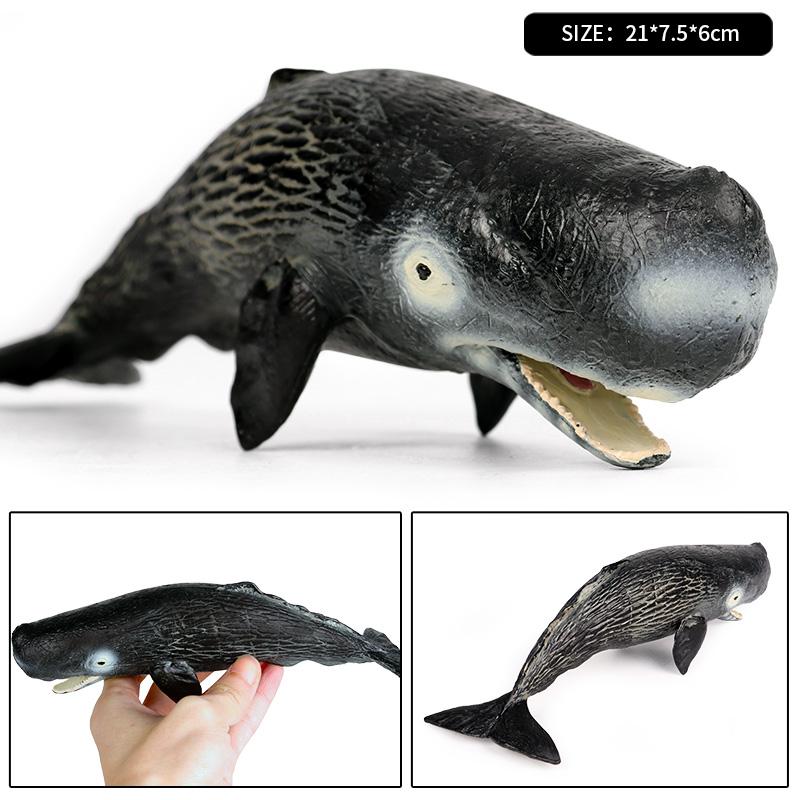 Oenux Ocean Animal Savage Megalodon Beluga Big Shark Orca Sperm Blue Whale Action Figures Sea Life Model Educational Kids Toy