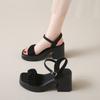 High-heeled Sandals Women's Summer 2025 New Versatile Thick-heeled Mary Jane Fairy Style Fashion Shoes with Skirts