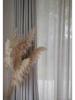 Extra Large Preserved Pampas Grass Bouquet for Nordic Style Decor