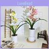 Rain Flower Stone Artificial Plant Decor For Wedding Photography And Home Display