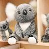 fluffy koala toy with a gentle A super adorable gift for New and Cute, soft, touch. Christmas, anniversaries, Years, birthdays.