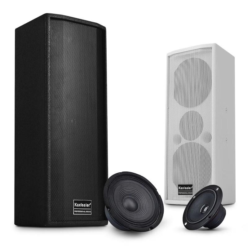 KAXISAIER Professional Passive Conference Speaker