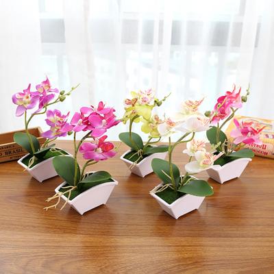 Schmetterlingsorchideenblume Home Office Dekor mit Blumentopf