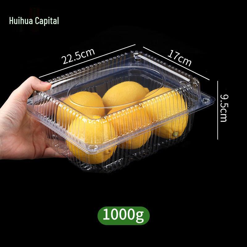 HUIHUADU Clear Disposable PET Fruit Containers with Lids