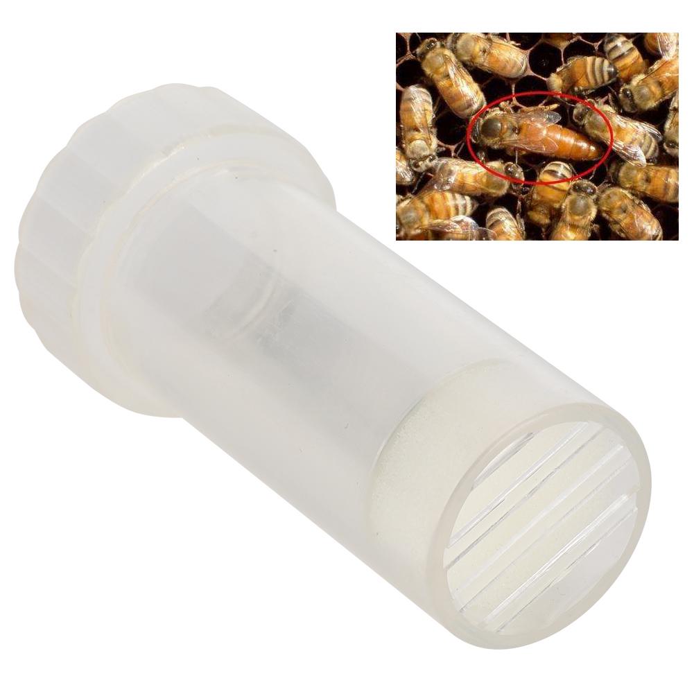 Plastic Full Transparent Flat Beekeeper Bee Queen Marking Cage Lightweight Labeled Bottle Beekeeping Tool Equipment