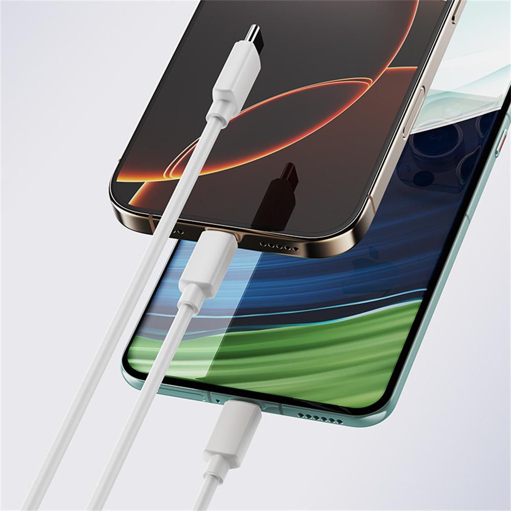 ROCK 1m 2 in 1 Charging Cable USB-C to USB-C+ Lightning 3A Fast Charging Data Cord