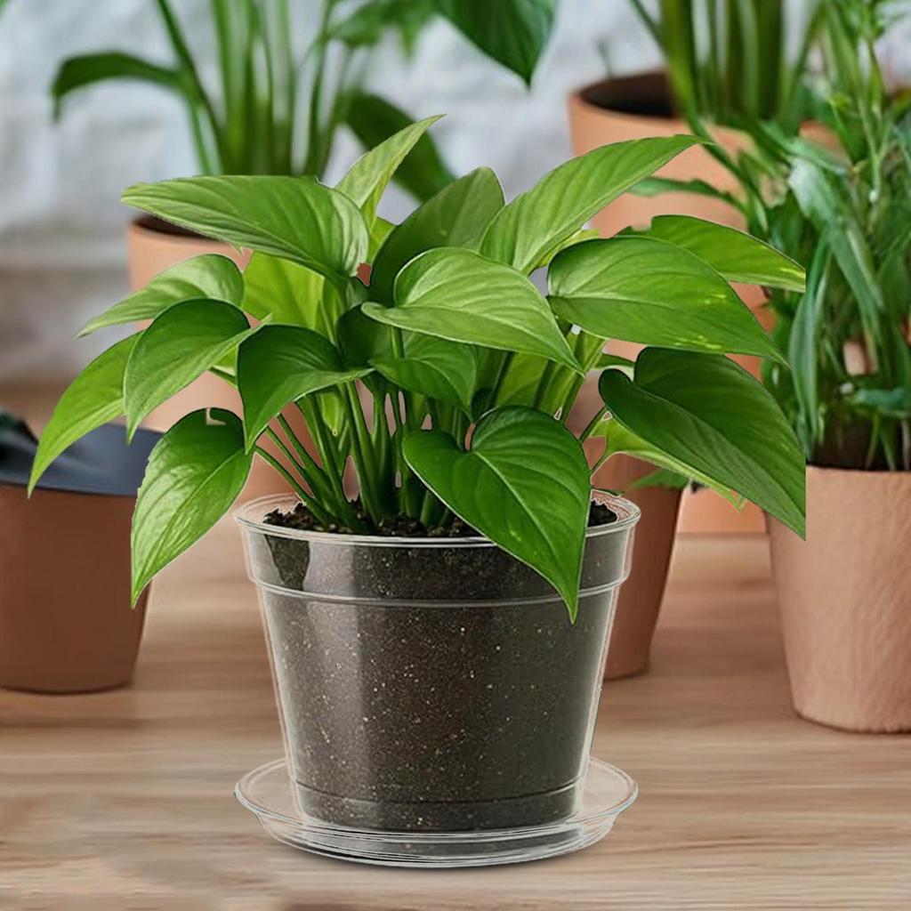 Nursery Pots For Plants 10-Piece With 10 Trays Transparent Flower Pots Hydroponic Planting Cup For Indoor Outdoor Garden Balcony