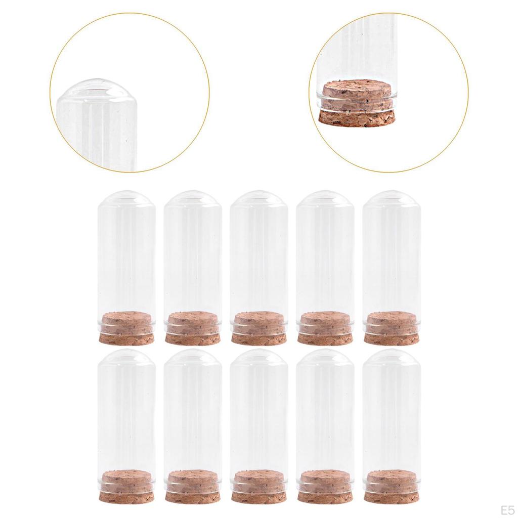 10er-Pack Glas-Display-Glocken für die Präsentation von Sammlerstücken