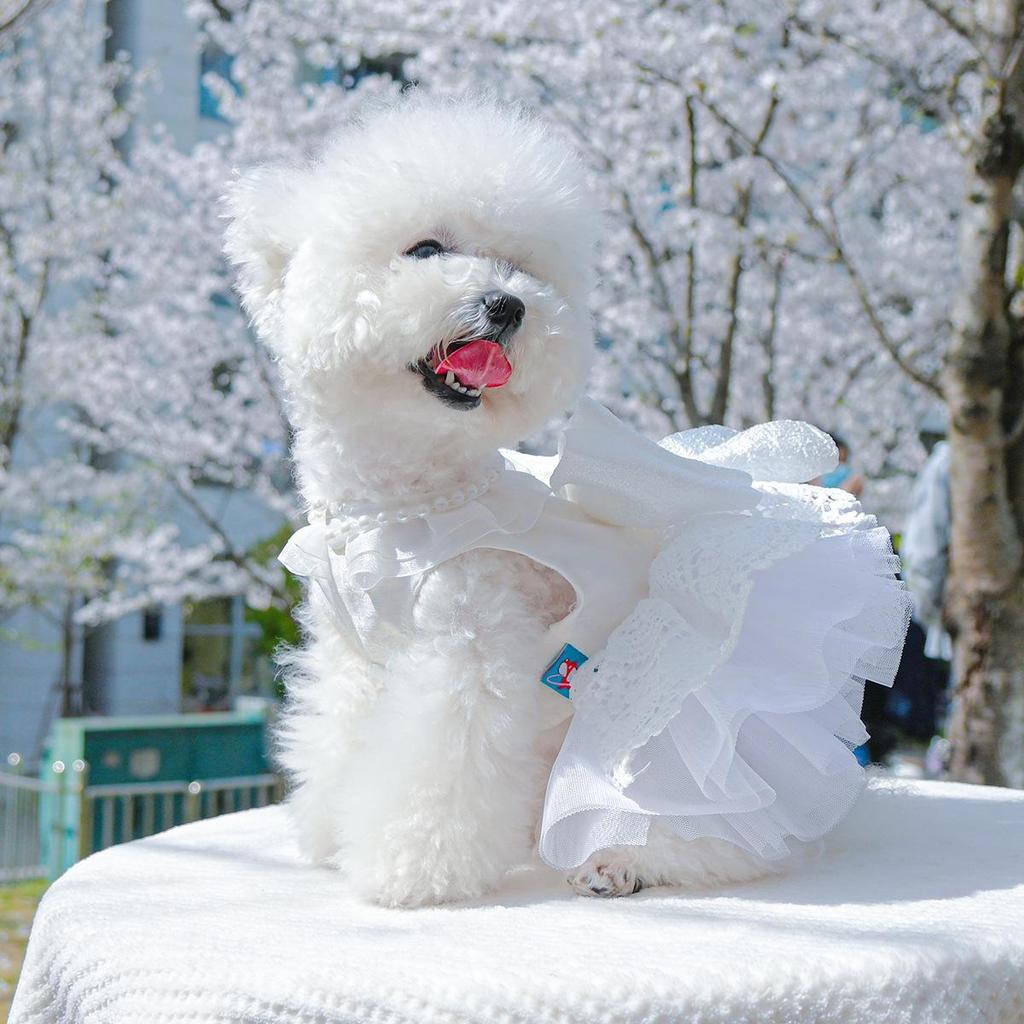 Pet Circle Snow White Pearl Princess Wedding Dress for Small & Medium Dogs
