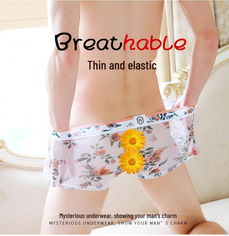 Summer Mesh Men's Boxer Briefs - Breathable, Transparent Mid-Rise Shorts