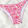 2025 European & American Print Bikini Swimsuit - Women's Sexy Beachwear