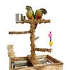 Massief Houten Papegaai Trainingsstandaard: Interactieve stekelige es vogel speeltuin