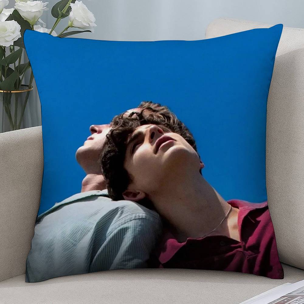 Gay Call Me Your Name Pillow Case Short Plush Double-sided Print Square Throw Pillow Covers Sofa Home Cushion Decor