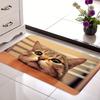 Cute Cartoon Cat Mat, Non-Slip Sponge Floor Rug, Soft Washable Door Mat for Bedroom Kitchen Bathroom