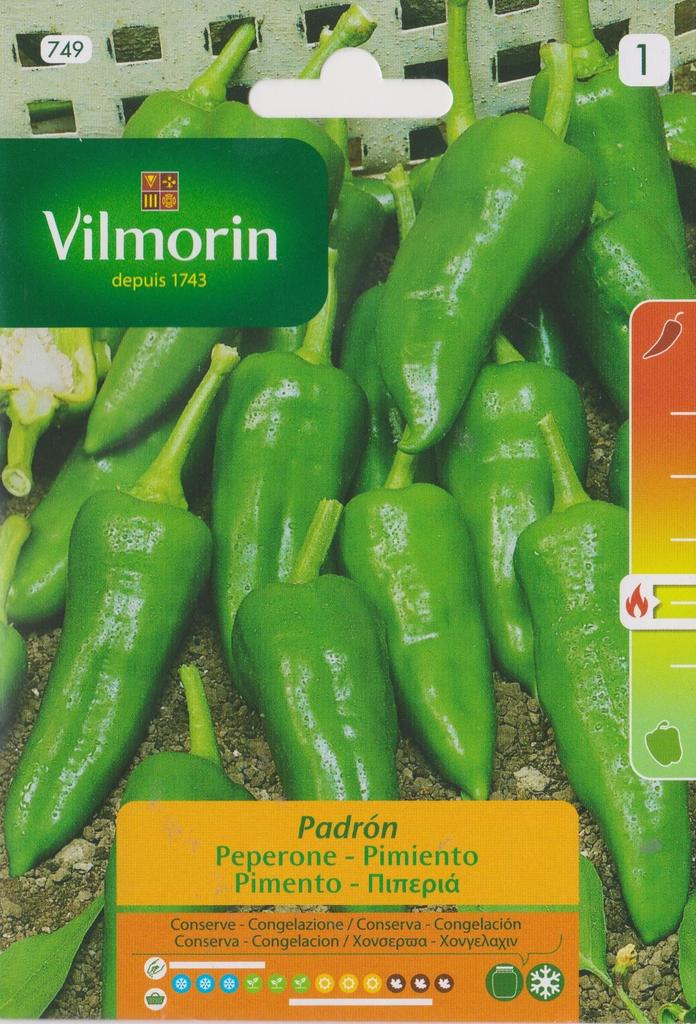 Semillas de Pimiento de Padrón