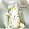 October Angel Thyme Refreshing Anti-Dandruff Shampoo