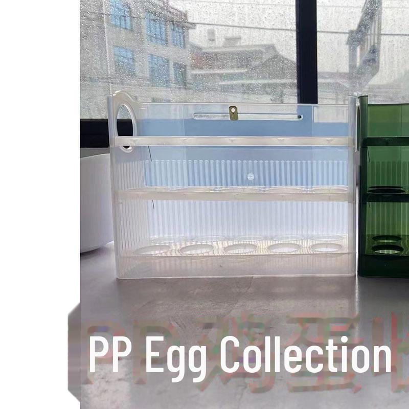 Luxury Refrigerator Egg Storage Box for Kitchen