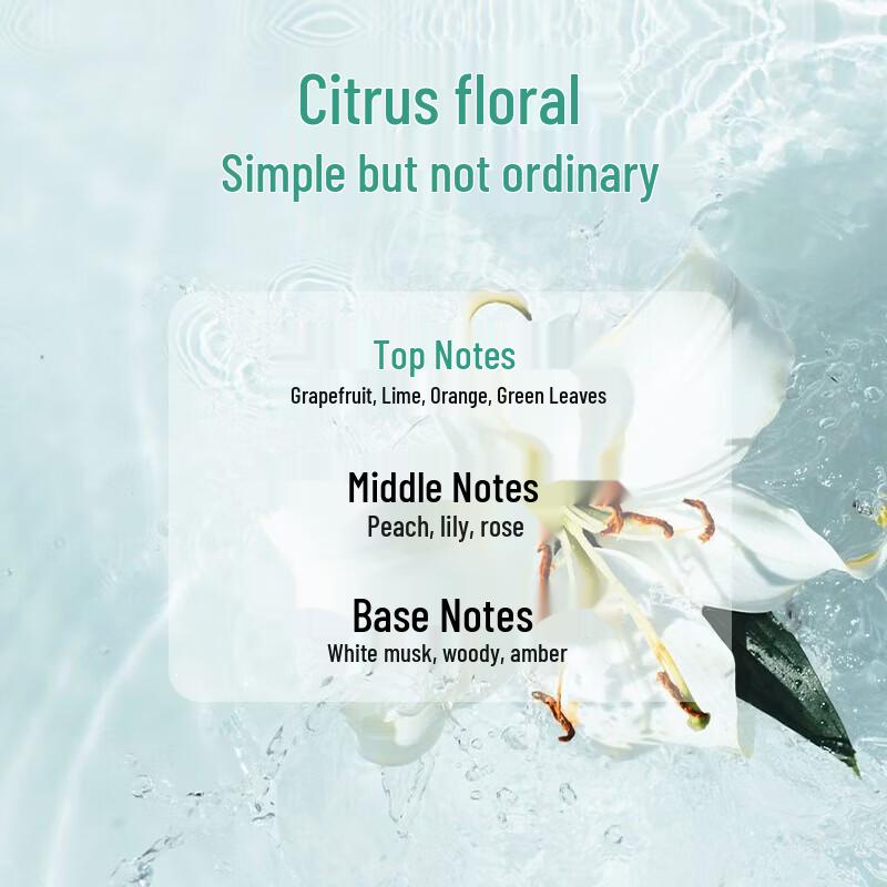 KAO 500g Skin-Friendly Soothing Body Wash