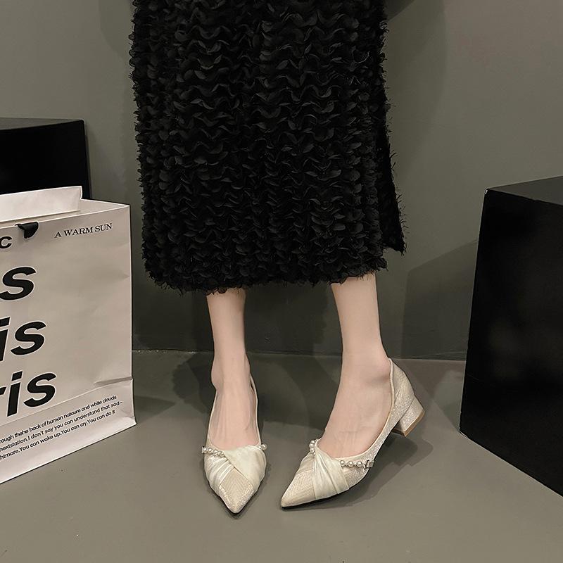 Pointed Single Shoes Women 2025 New Spring and Summer Temperament with Skirt Evening Shoes Low Heel Shallow Mouth French Fairy Wind Ladyshoes