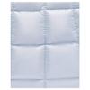Nike Sportswear 3L Quilted Design Tote Bag Shopping Bag Nylon Handbag Small Unisex tote bags Pure-White Gold HQ6709043