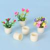 Mini Flower Pots Small Planter Pots for DIY Crafts for Dollhouse Micro Landscape Fairy Garden Decorations
