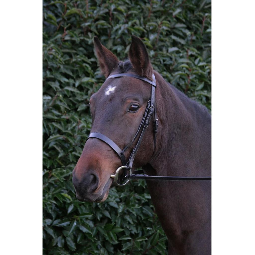 Hy Hunter Leather Bridle with Rubber Grip Reins