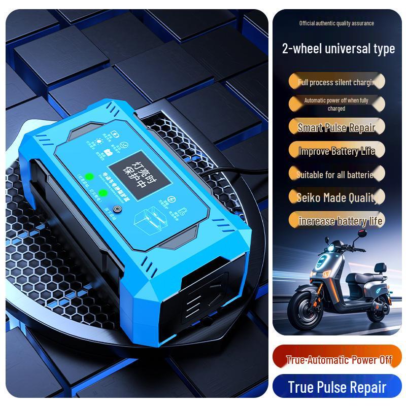 2025 Smart Electric Vehicle Charger with Automatic Power Off & Voltage Stabilizer