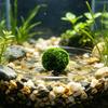 Artificial Moss Rocks, Decorative Green Moss Balls, Fake Moss Covered Stone for Floral Arrangements, Photography Props, Fairy Gardens, Crafting