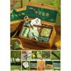 Jun XVII Dragon Boat Festival Woven Basket Tea Gift Set