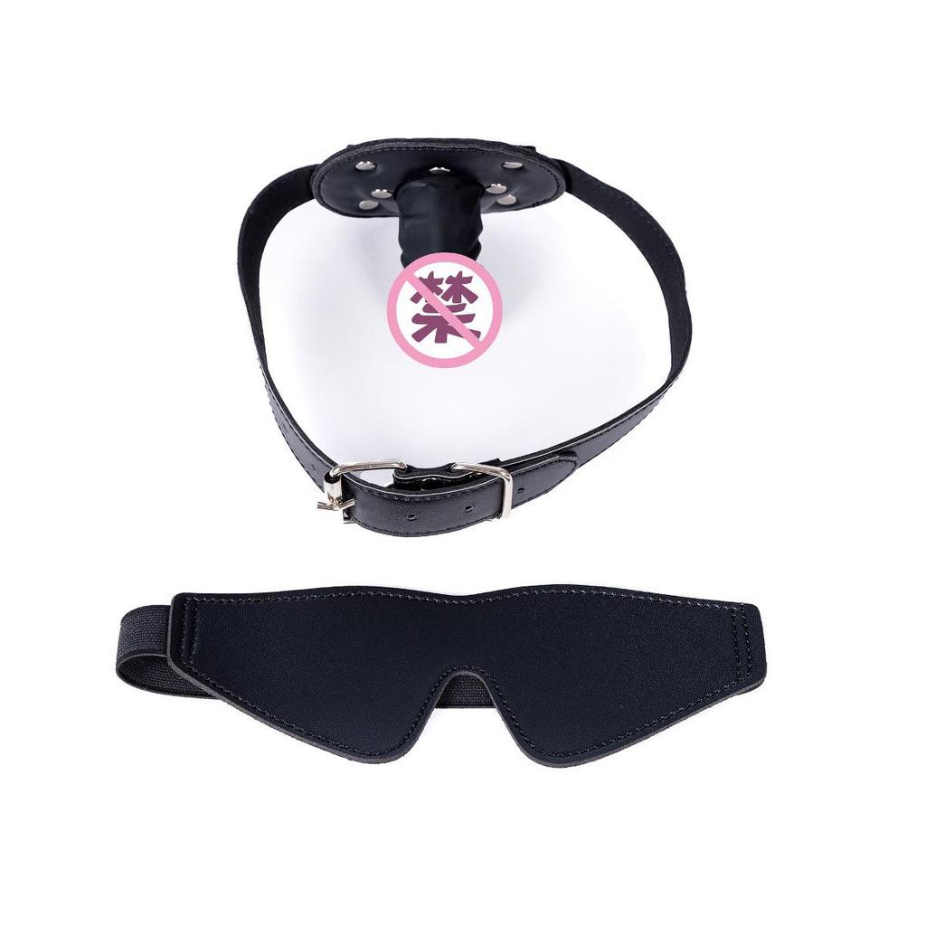 Sensory Deprivation Hood with Detachable Gag for BDSM Training