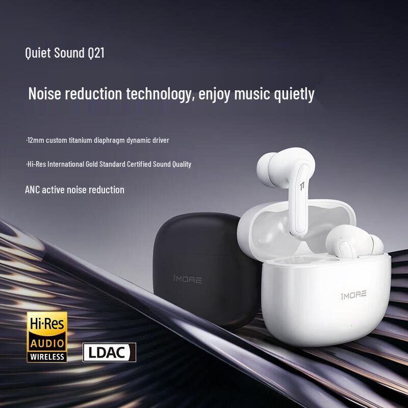 1MORE Q21 True Wireless ANC Earbuds