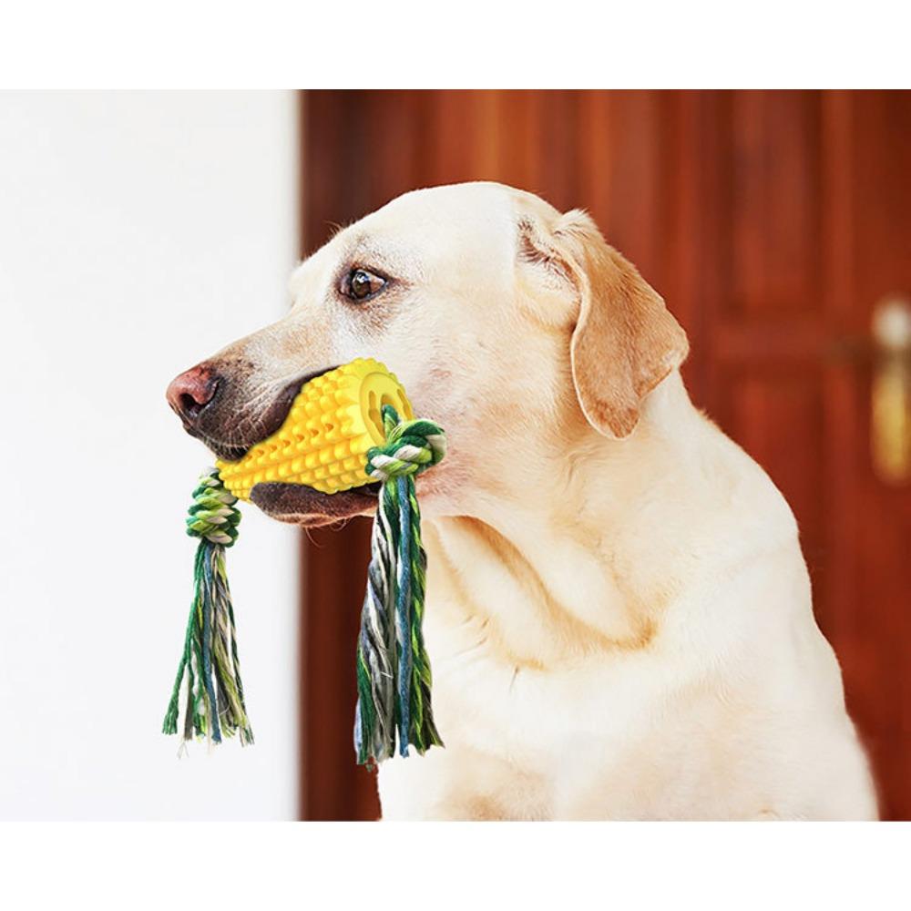 Dog toys, pet supplies, acoustic corn dog toys. Cotton rope, grinding rod