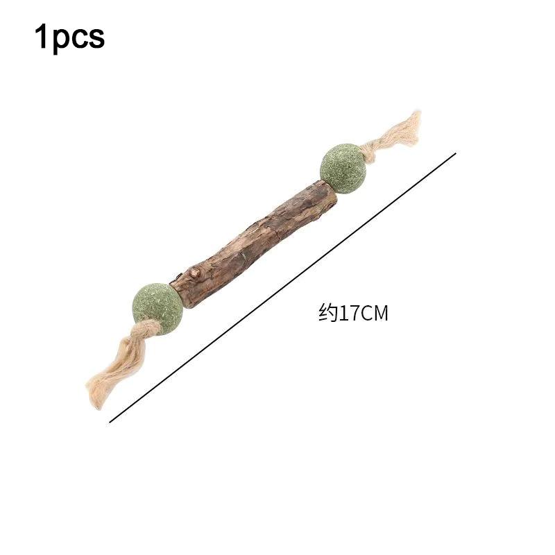 1 adet Kedi Diş Temizleme Saf Doğal Kedi Nanesi Kedi Azı Dişi Diş Macunu Çubuğu Gümüş Asma Actinidia Meyvesi Matatabi Kedi Atıştırmalık Çubuğu