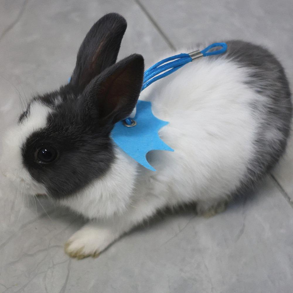 Adjustable Traction Rope Solid Color Pet Chest Strap Cute Little Rabbit Rope  Or Small Reptiles