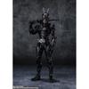 TAMASHII NATIONS S.H. Figuarts Kamen Rider BLACK SUN Standard Version 150mm ABS PVC Painted Action Figure BAS63330