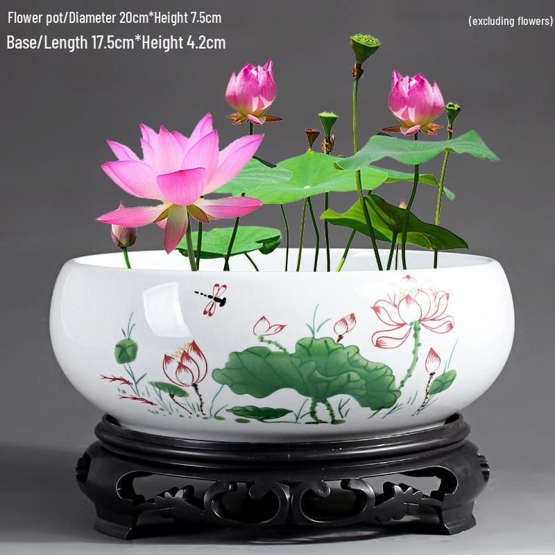 Großer Keramik-Lotus Seerose Hydroponischer Blumentopf ohne Abfluss