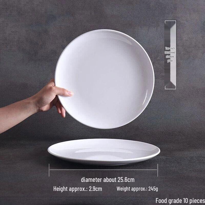 Zoz A5 Melamine 10-Inch Shallow Round Dinner Plates (10-Pack)