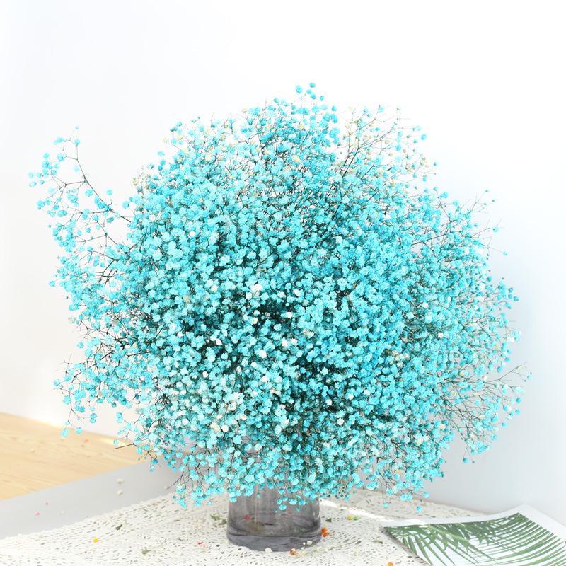 Eternal Gypsophila Bouquet: Color-Absorbing Ilocos Flowers for DIY Floral Arrangements and Wedding Decorations