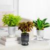 Self Watering Planter Pots African Violet Pots for Indoor Outdoor Windowsill